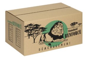photo de 70. CARTON STANDARD RENFORCE