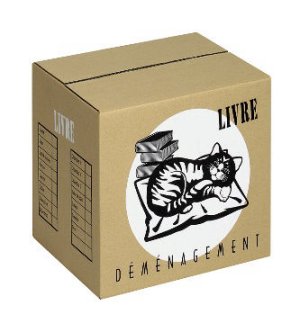 photo de 60. CARTON LIVRE RENFORCE